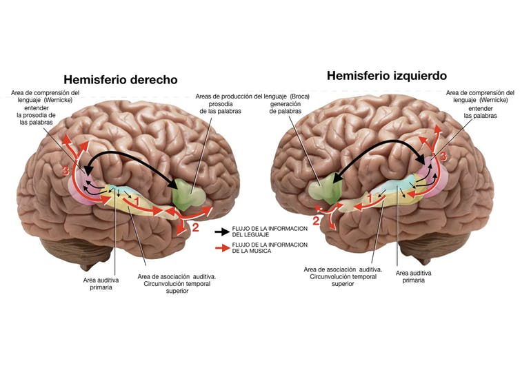 Fuente: https://theconversation.com/la-musica-amansa-el-confinamiento-135361